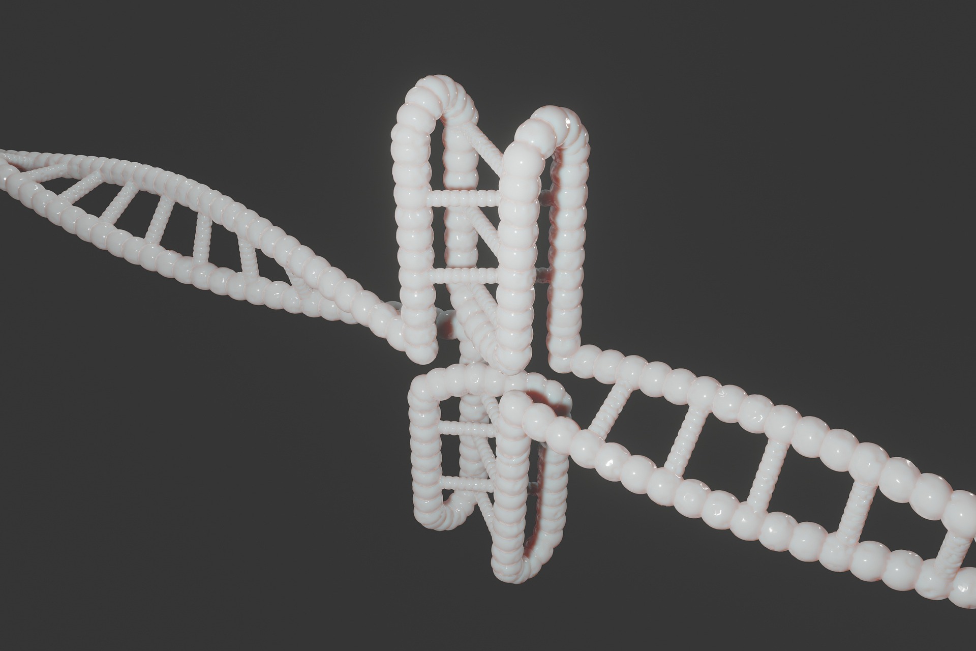 projet: ATAC_MACS2